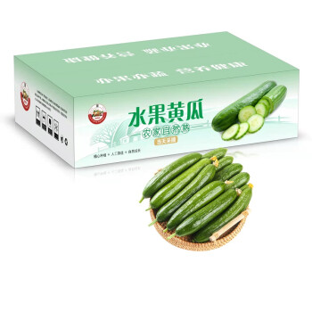 水果小黄瓜5斤装